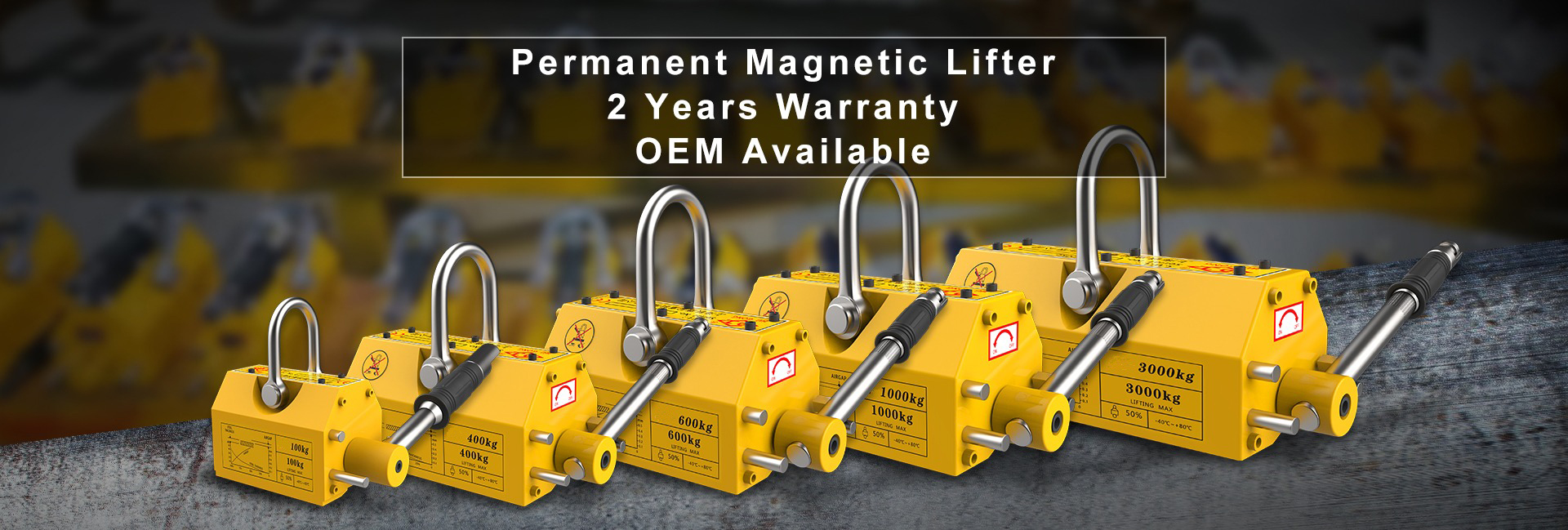 Shandong yinger lifting hoist equipment Co,.Ltd